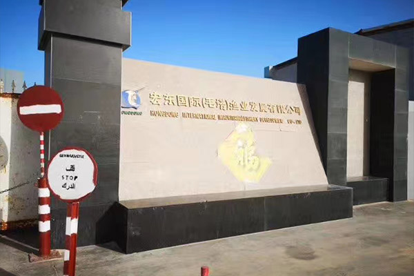 出口毛里塔尼亞一化工廠用6噸、10噸燃?xì)庹羝仩t項(xiàng)目